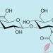 Hyaluronic acid benefits for skin care | Update Information |